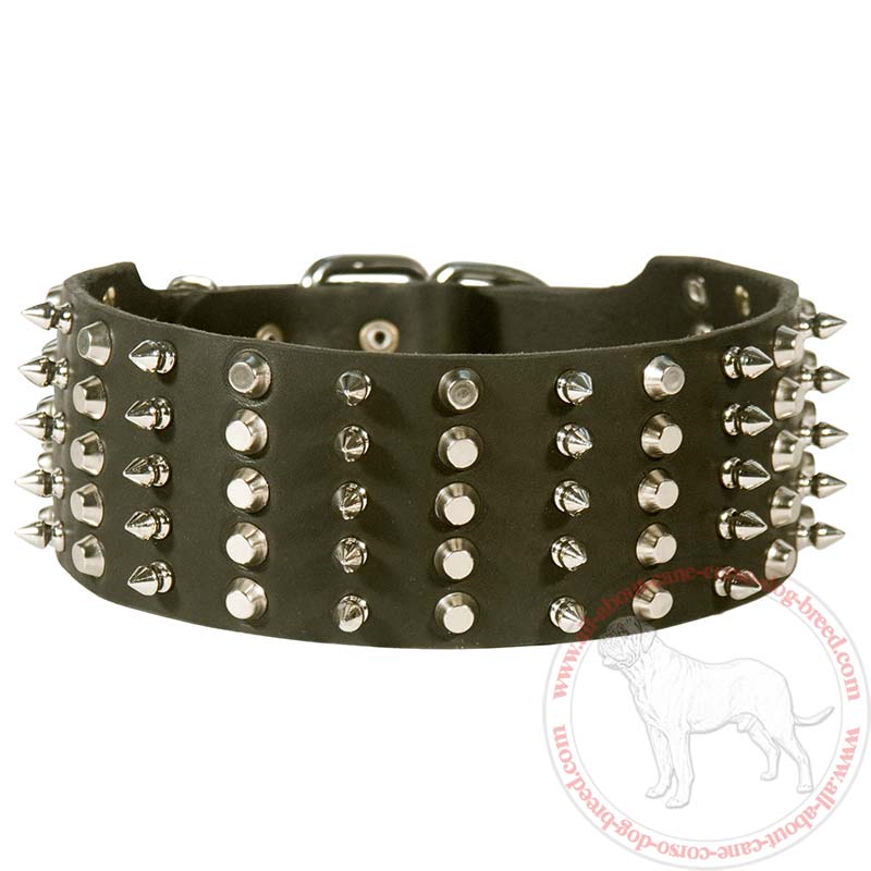 Order Trendy Dog CollarSpiked and Studded Leather Collars