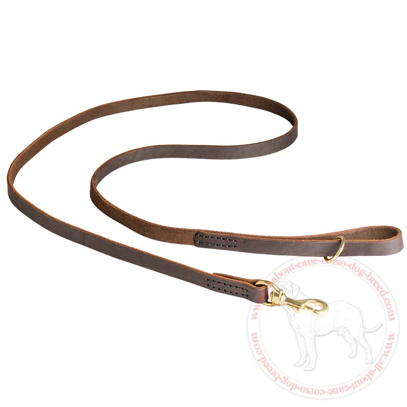 Stitched Leather Dog Leash for Cane Corso