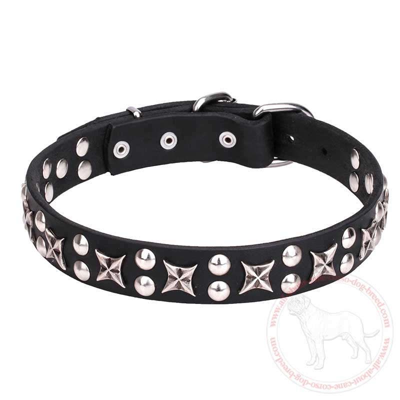 "Planets and Stars" Leather Cane Corso Collar with Chrome Plated Fittings
