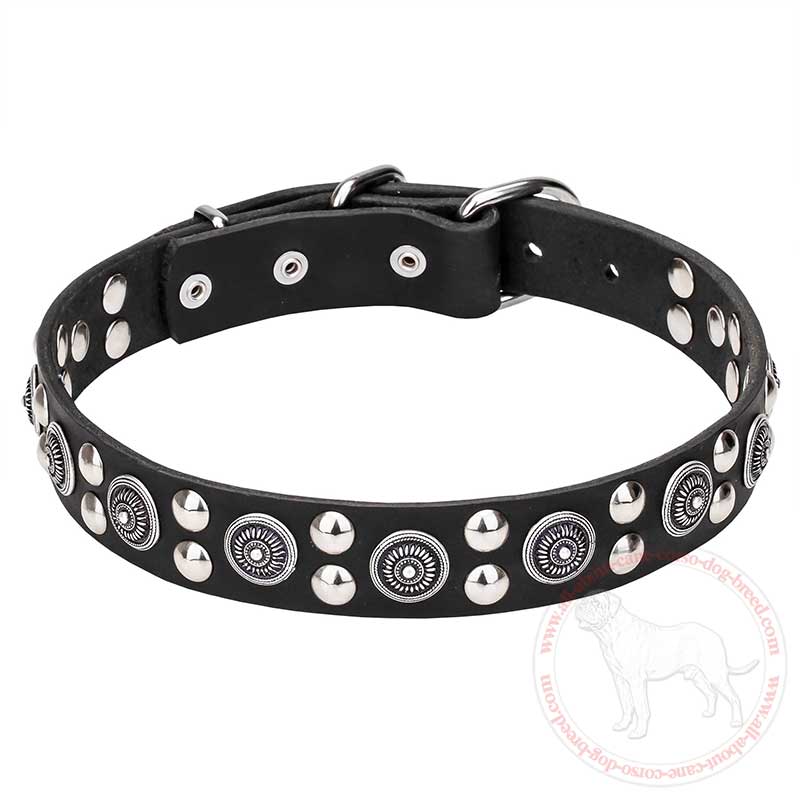 'Galactic Style' Leather Cane Corso Collar with Silver-like Circles and Half-Sphere Studs