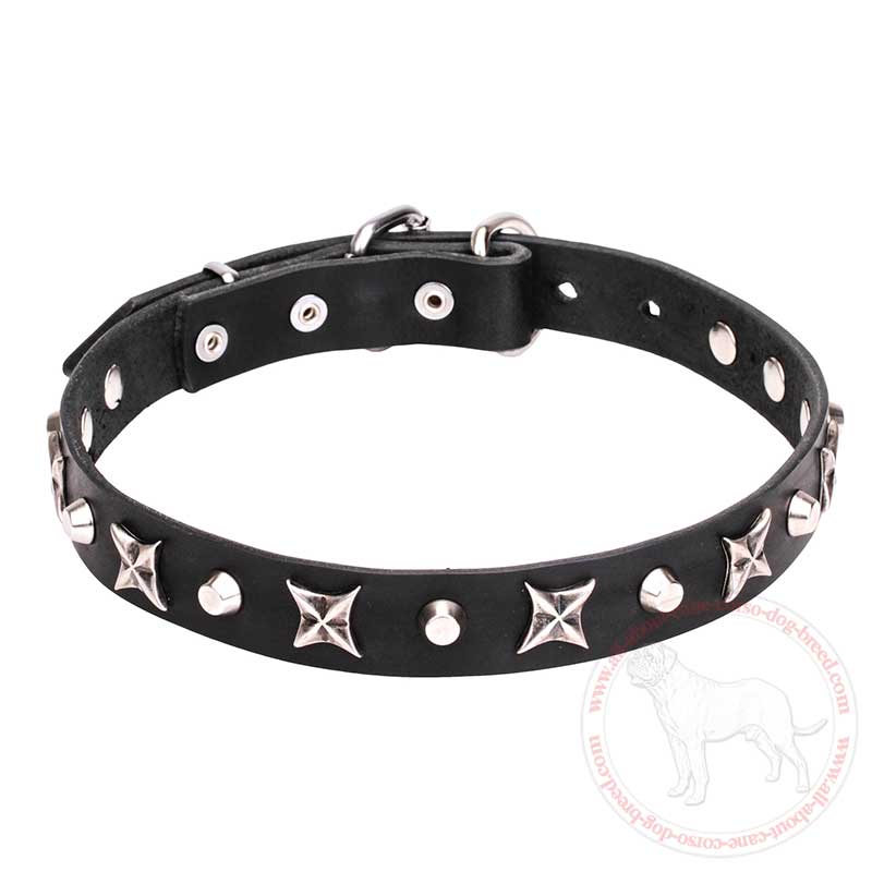 'Blazing Stars' Leather Cane Corso Collar with Shiny Chrome Plated Stars and Pyramids