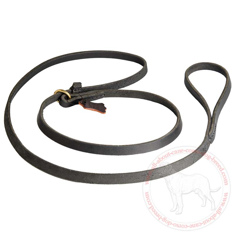 Leather Slip Lead 6 FT on 1/2'' for Cane Corso