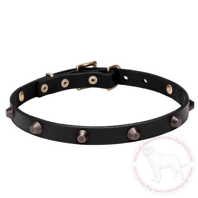 Walking Leather Cane Corso Collar with Blunted Cones