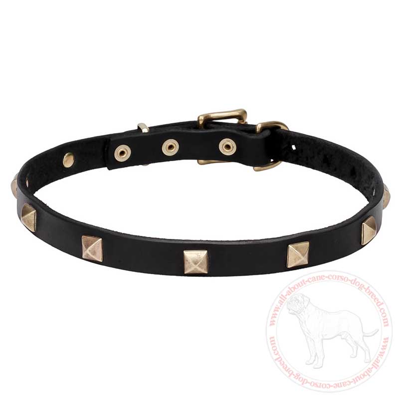 Leather Cane Corso Collar with Small Brass Pyramids