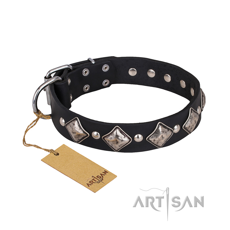 'Silver Charm' FDT Artisan Leather Dog Collar with Studs and Plates for Cane Corso
