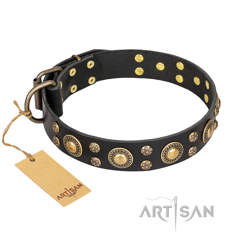 'Baroque Chic' FDT Artisan Studded Black Leather Cane Corso Dog Collar