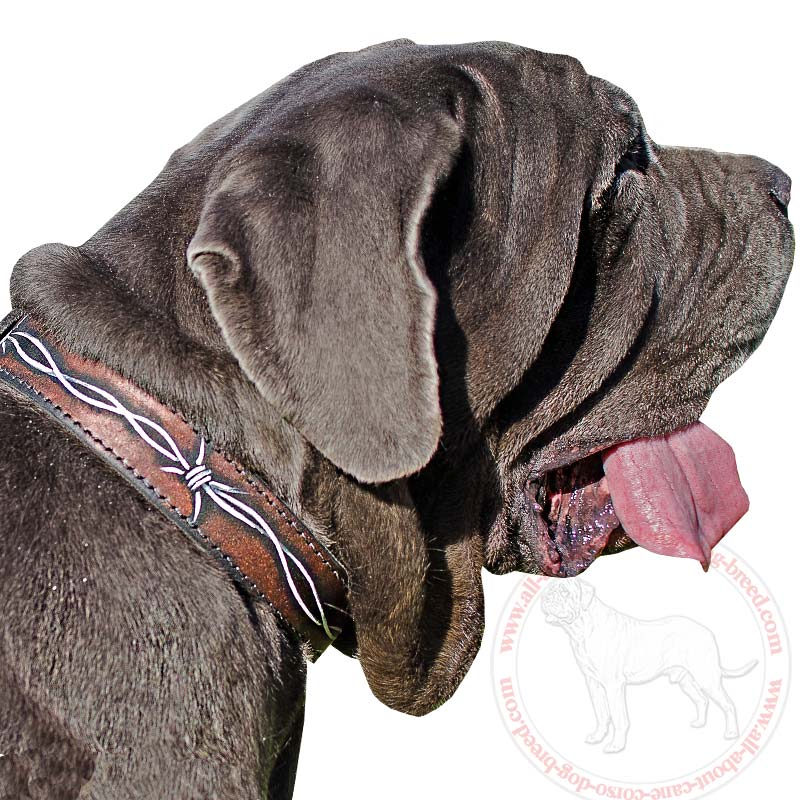 Fashion Mastino Collar with Handmade Painting