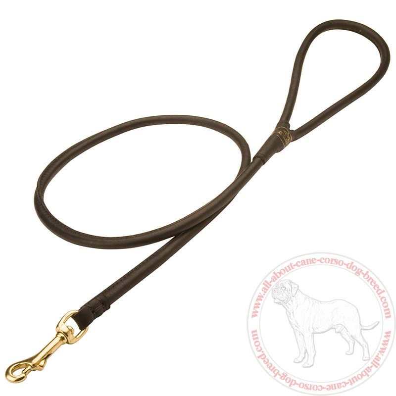 Natural Rolled Leather Dog Leash 3/4 inch for Cane Corso - Click Image to Close