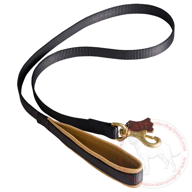 Padded Handle Dog Lead (Leash) for Cane Corso