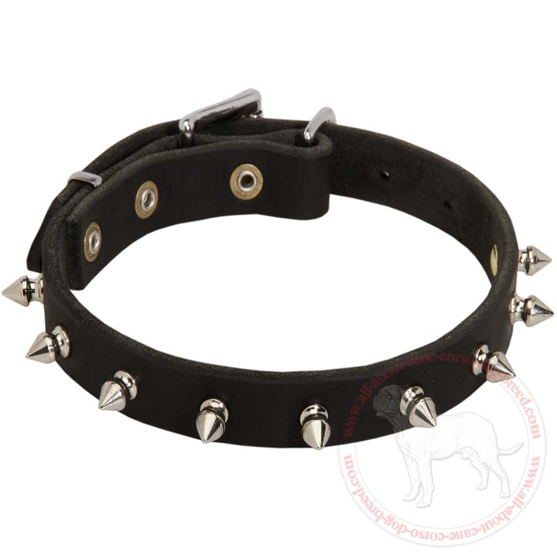 Stylish Leather Dog Collar with One Row Spikes for Cane Corso Breed