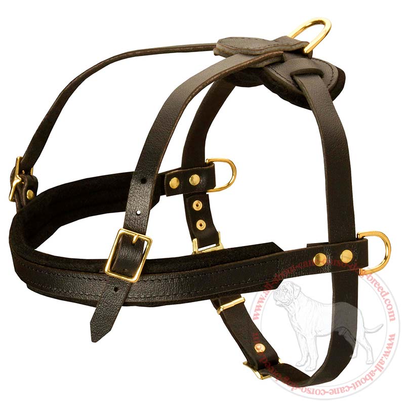 Best tracking harness sale