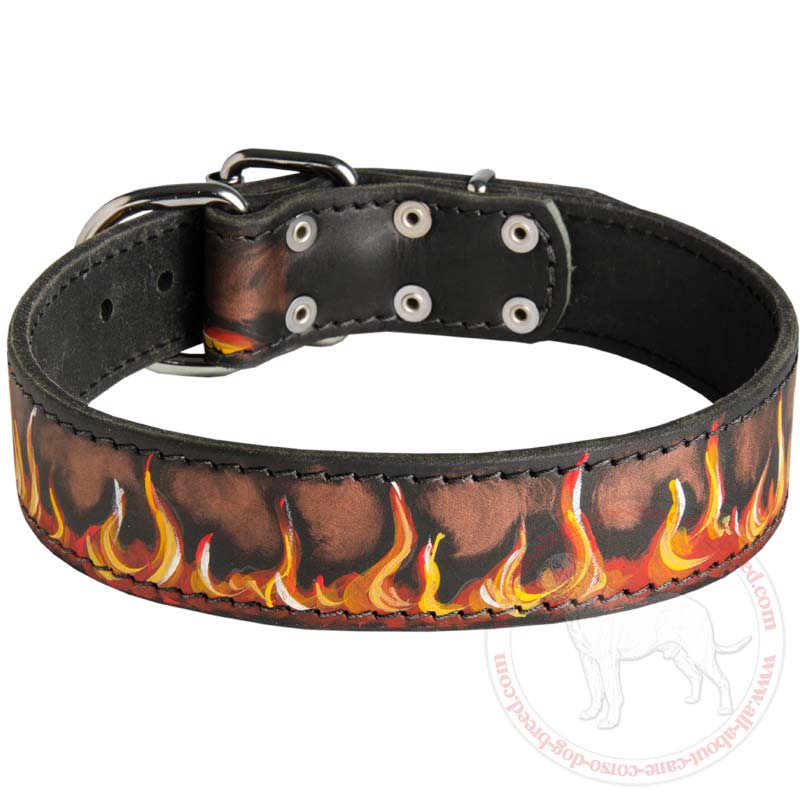 Adjustable Designer Dog Collar for Cane Corso Breed