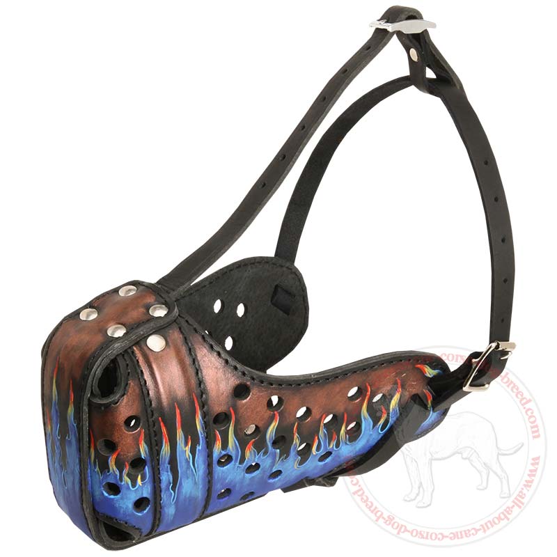 Exclusive "Blue Fire" Painted Leather Muzzle for Cane Corso