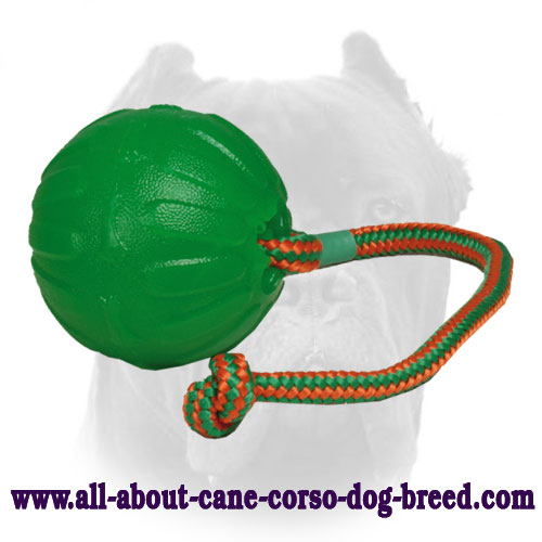Rotating Chew Dog Ball for Cane Corso Pet Supplies Dog Muzzle, Harness, Collar, Leash, Toys