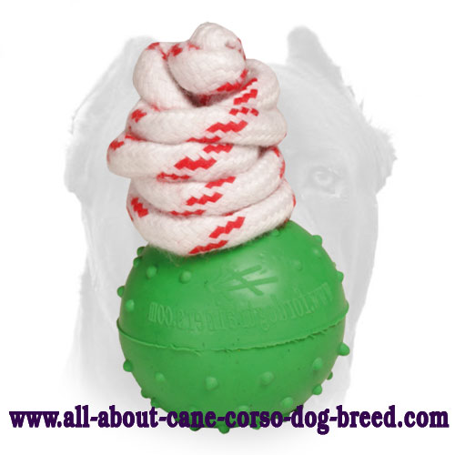 Dotted Rubber Ball for Cane Corso Training and Playing - Click Image to Close