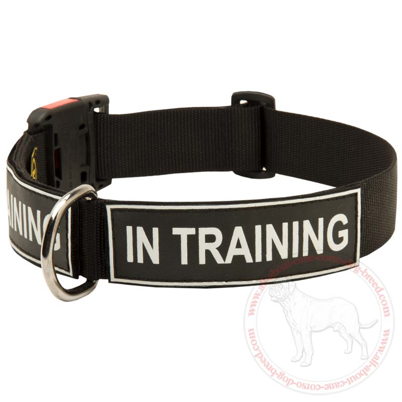 Buy Service Nylon Cane Corso Collar