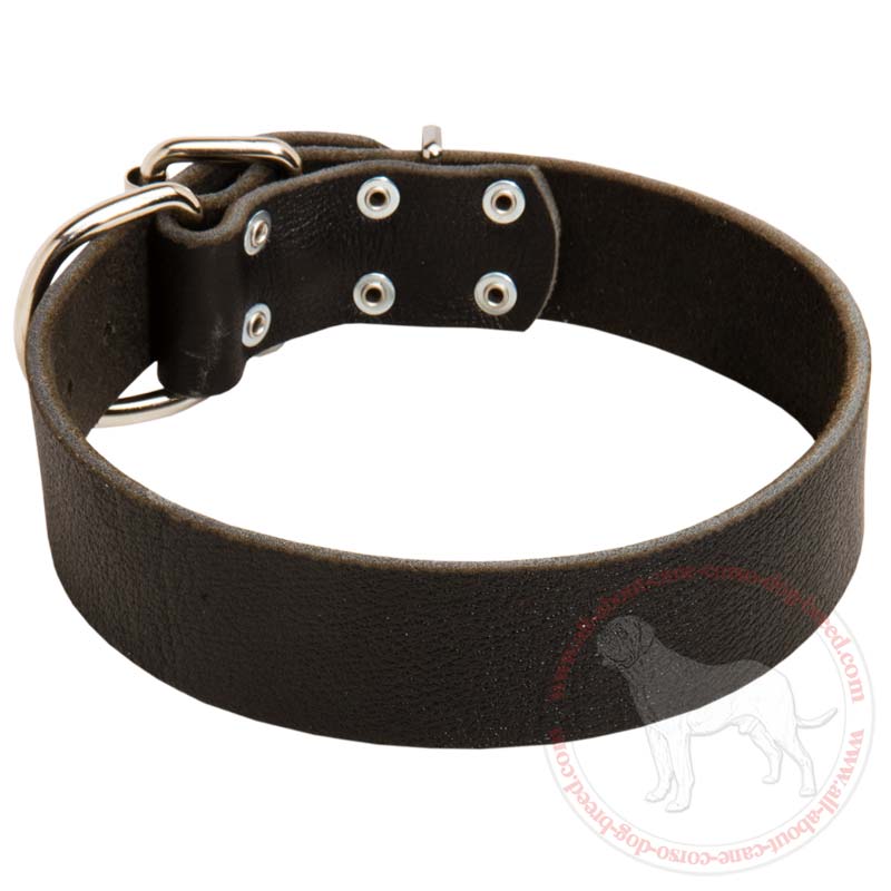 Handmade Smooth Collar for Cane Corso Dog