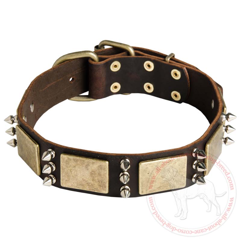 Handcrafted Vintage Spiked Dog Collar for Cane Corso Breed