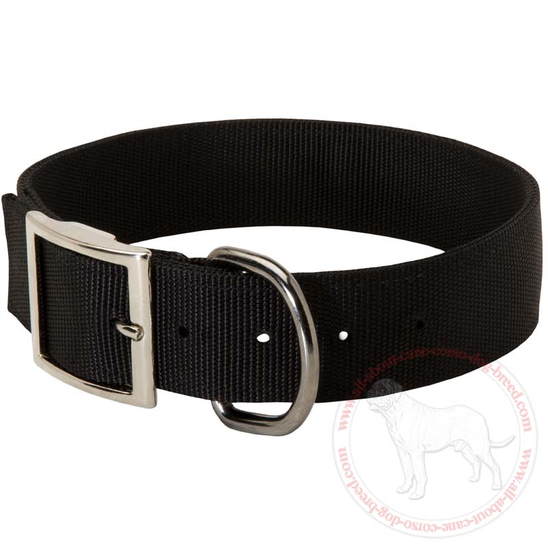 2 Ply Nylon Wide Dog Collar for Cane Corso