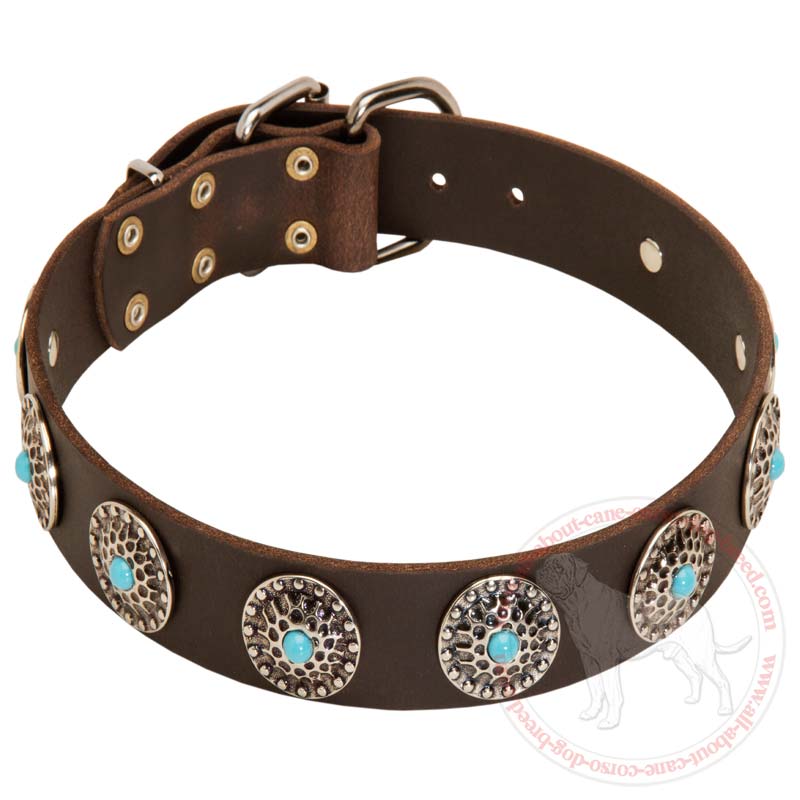 Wide Leather Dog Collar with Silver Plated Circles and Blue Stones