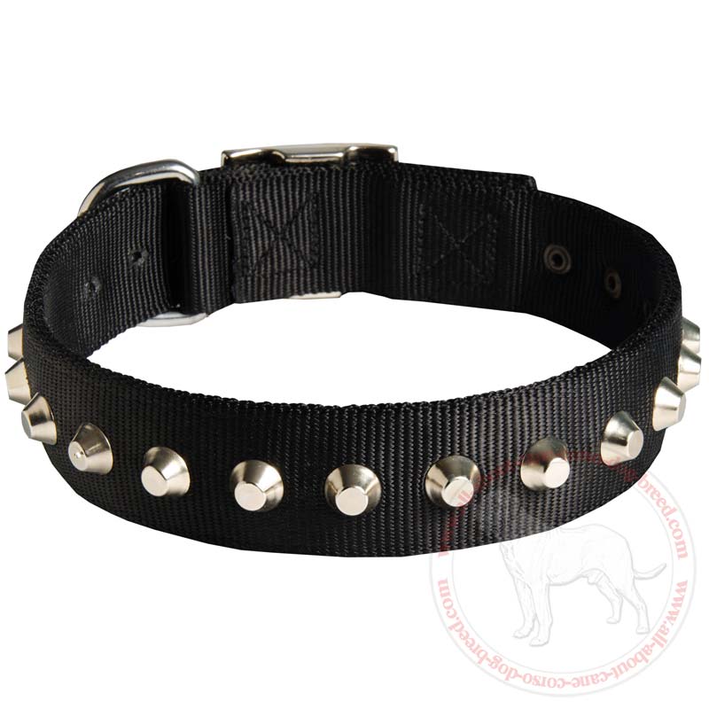 Fashion Wide Nylon Dog Collar With Nickel Pyramids for Cane Corso Breed