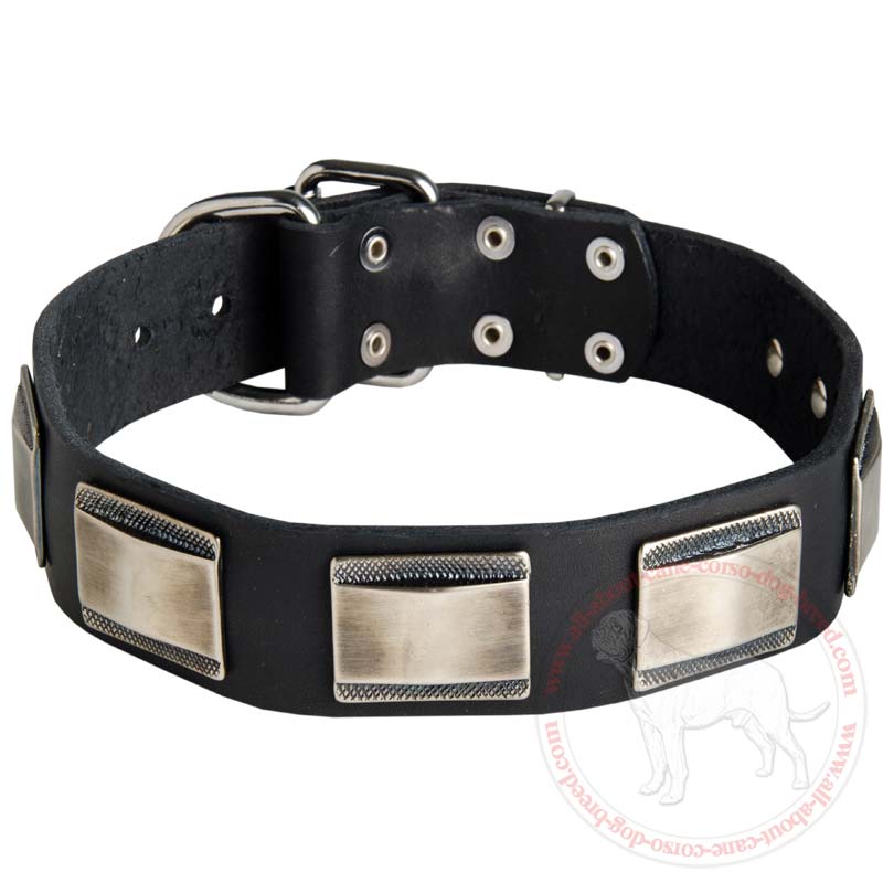 Wide Leather Dog Collar for Large Breed Dogs Like Cane Corso