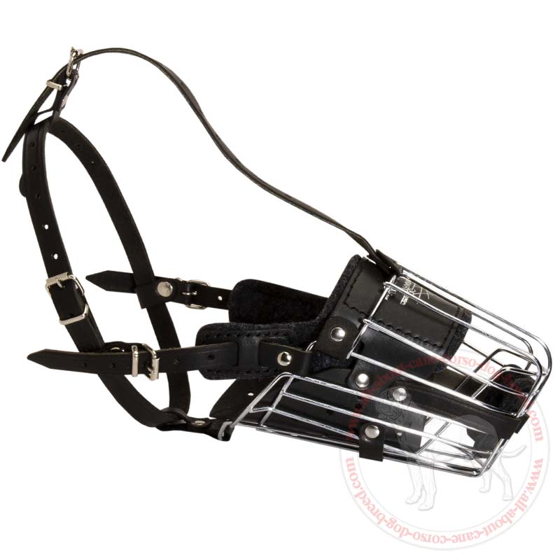 'No Mash' Leather Padded Wire Basket Muzzle for Cane Corso