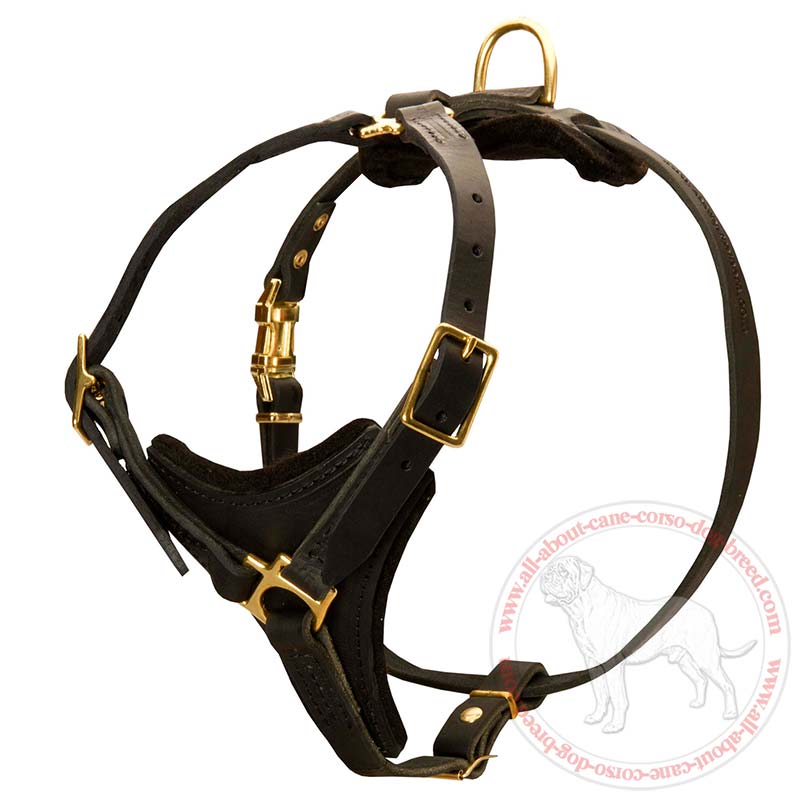 Y-shaped Leather Handicraft Cane Corso Breed Dog Harness