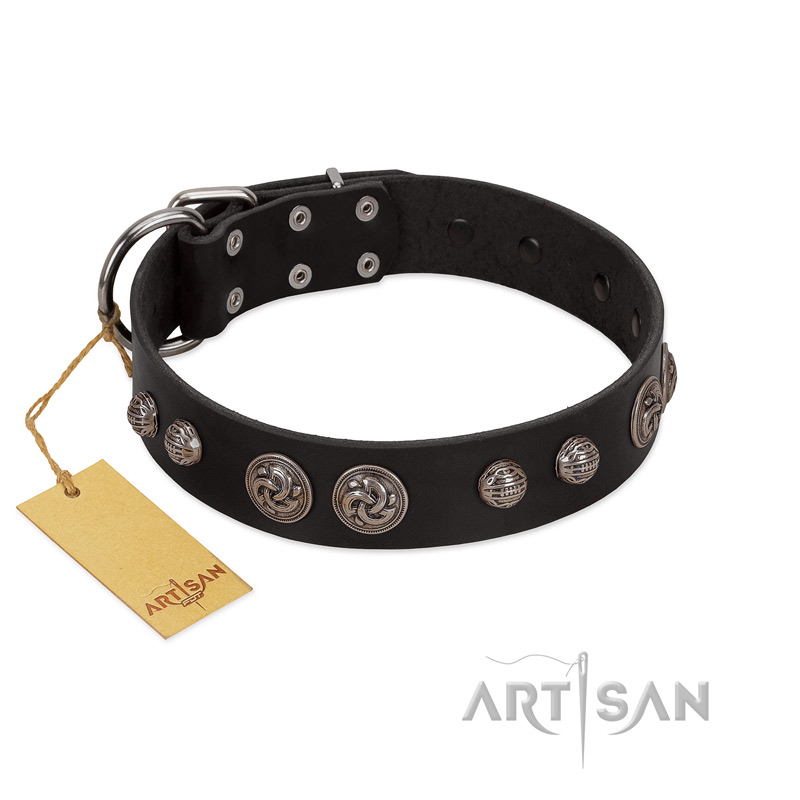 "Tricky Ricky" FDT Artisan Black Leather Cane Corso Collar Adorned with Silver-Like Conchos