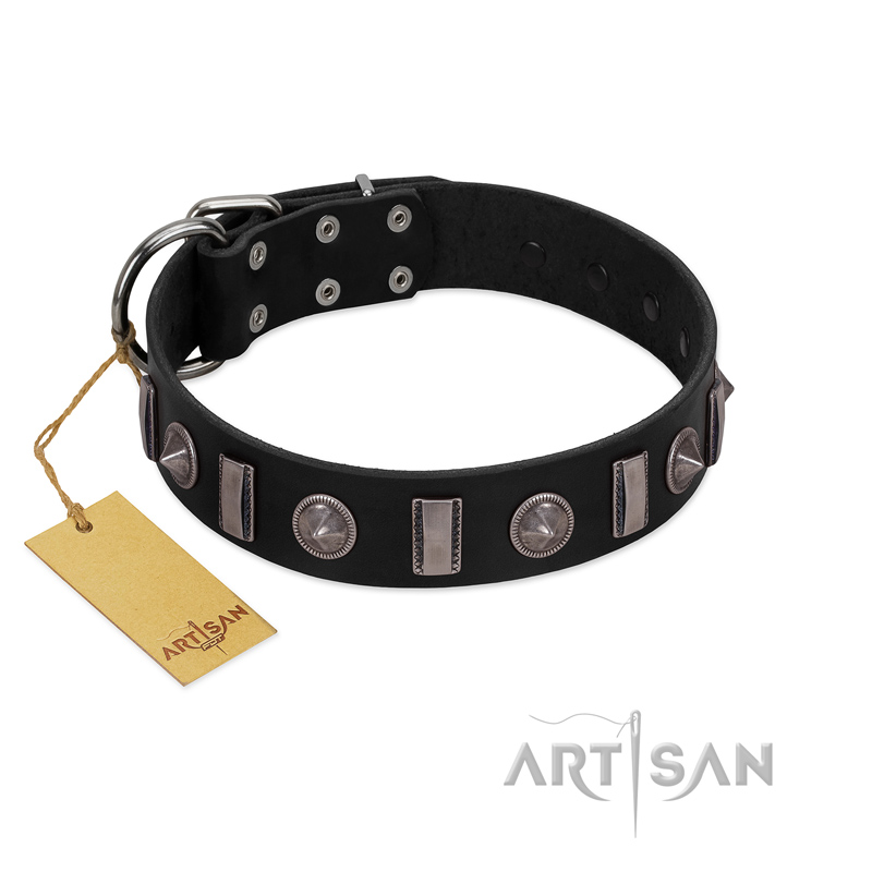 "Silver Spikes" Exclusive FDT Artisan Black Leather Cane Corso Collar