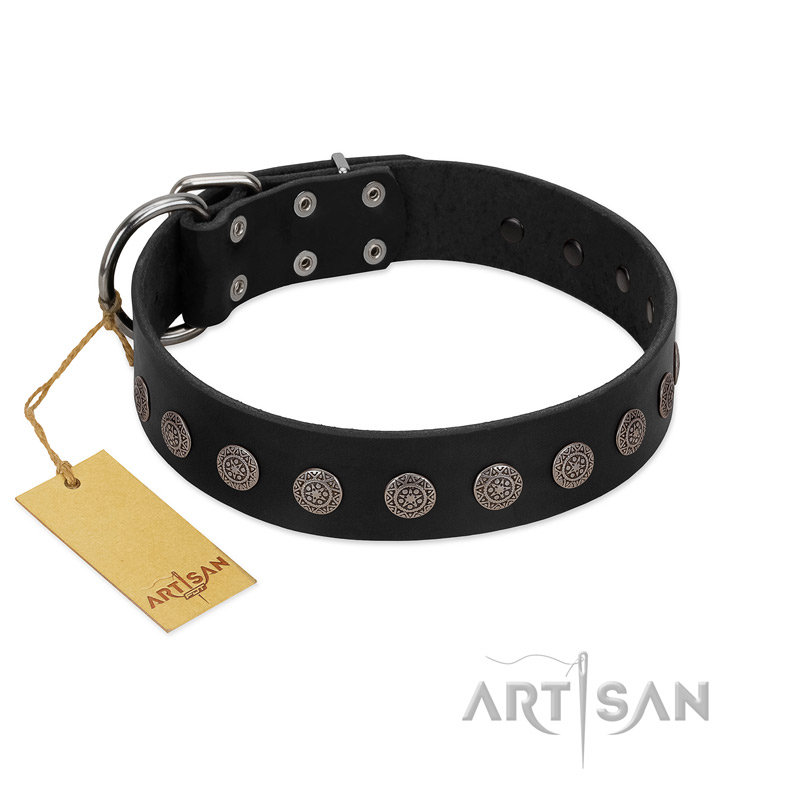 "Silent Star" Handmade FDT Artisan Designer Black Leather Cane Corso Collar with Engraved Plates