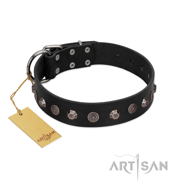"Black Knight" Handmade FDT Artisan Black Leather Cane Corso Collar with Silver-Like Studs