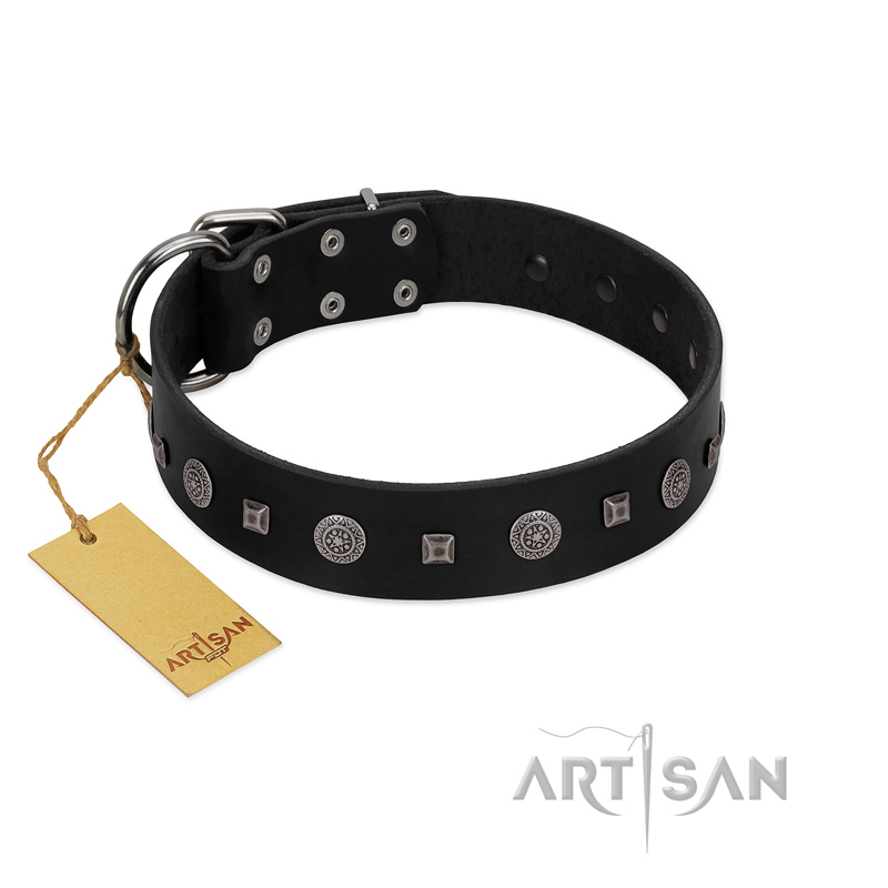 "Mr. Elegance" Designer FDT Artisan Black Leather Cane Corso Collar with Silver-Like Studs