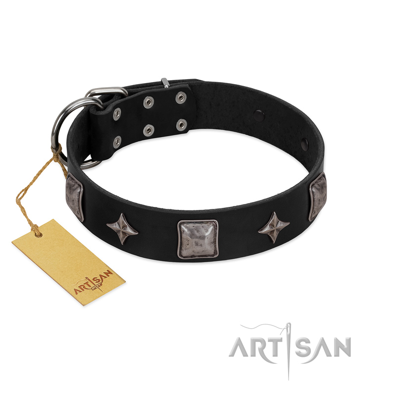 "Black Cavalier" Handmade FDT Artisan Black Leather Cane Corso Collar with Silver-Like Stars and Large Plates