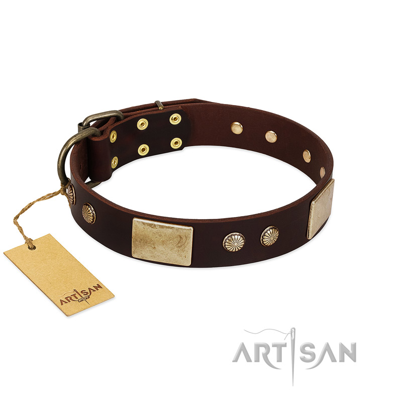 "Middle Age" FDT Artisan Brown Leather Cane Corso Collar with Old Bronze-Plated Engraved Flowers and Large Plates