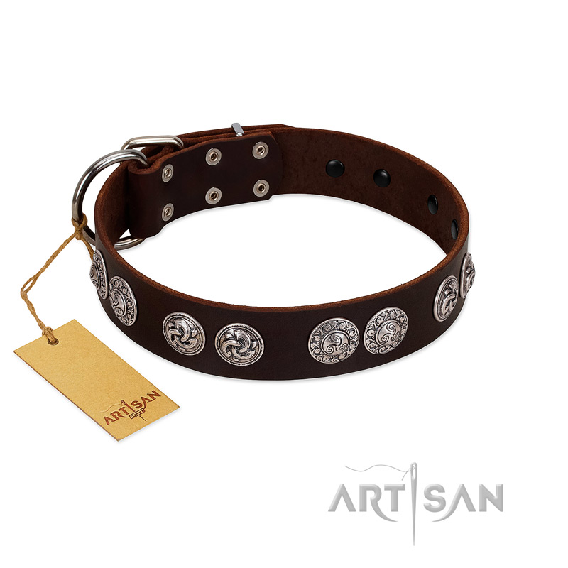 "High and Mighty" FDT Artisan Classy Brown Leather Cane Corso Collar with Embellished Brooches - Click Image to Close