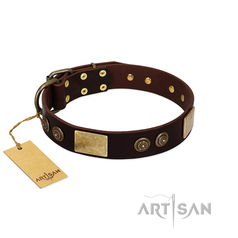 "Bow-Wow Effect" FDT Artisan Brown Leather Cane Corso Collar with Plates and Ornate Studs - Click Image to Close