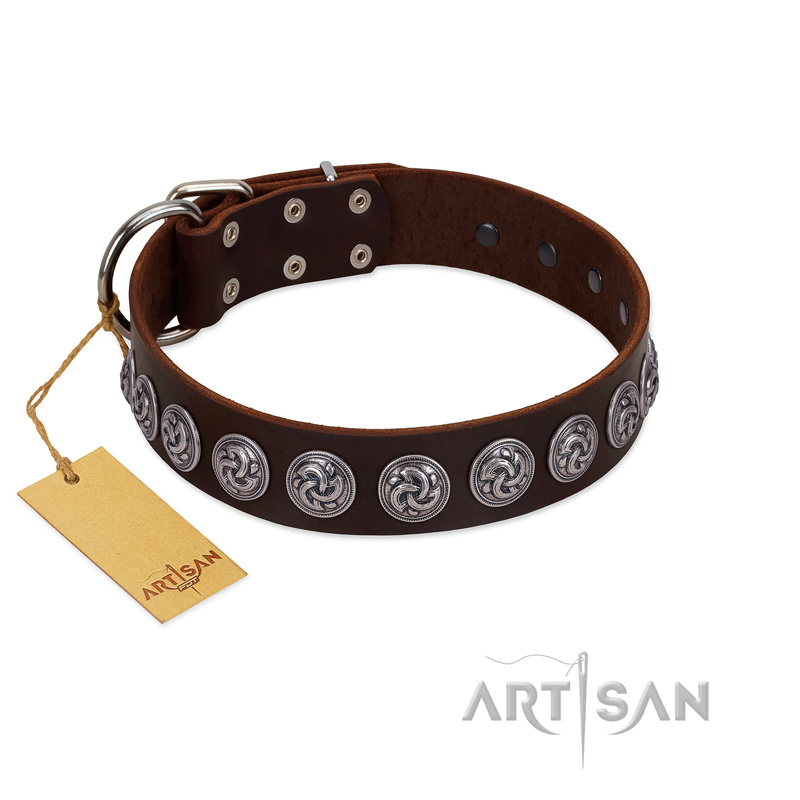"Charming Circles" FDT Artisan Brown Leather Cane Corso Collar with Silver-like Studs
