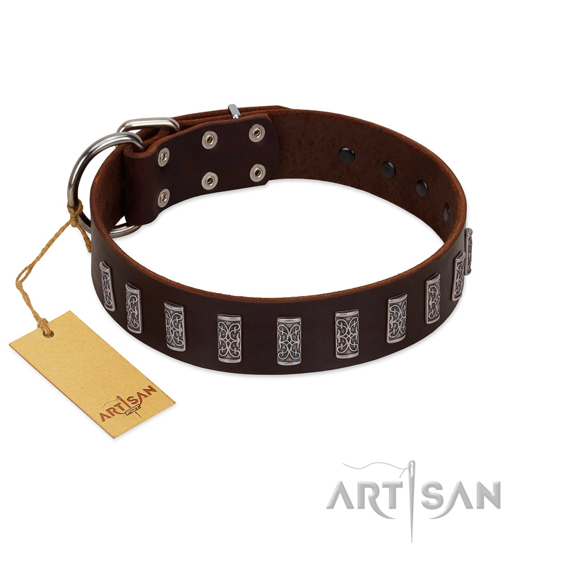 "Brown Lace" Handmade FDT Artisan Brown Leather Cane Corso Collar for Everyday Walks