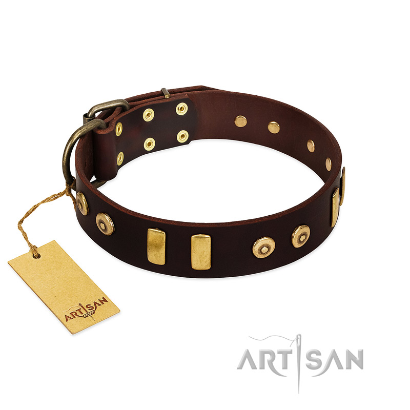 "Lord of Dogs" FDT Artisan Brown Leather Cane Corso Collar with Old Bronze-like Dotted Studs and Tiles