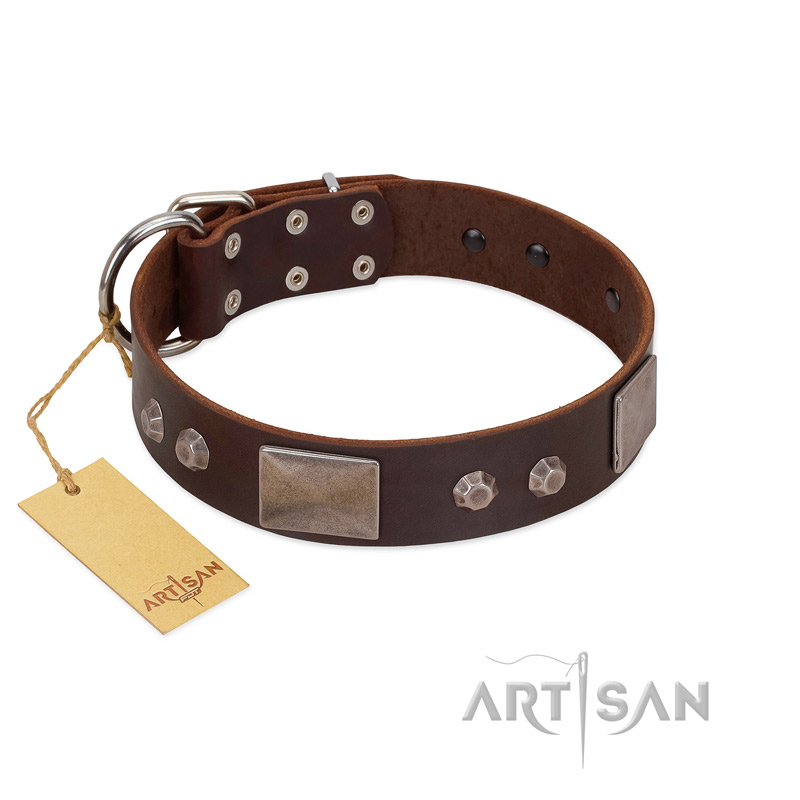 "Stone Stars" Stylish Handmade FDT Artisan Brown Leather Cane Corso Collar