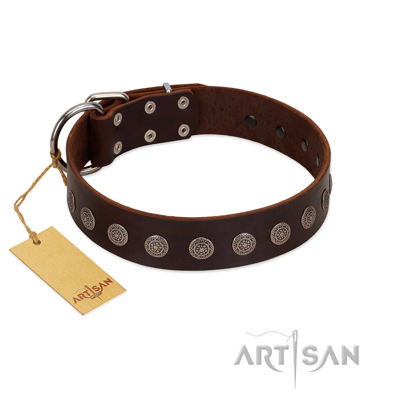 "Starry-Eyed" Best Quality FDT Artisan Brown Designer Leather Cane Corso Collar with Small Plates
