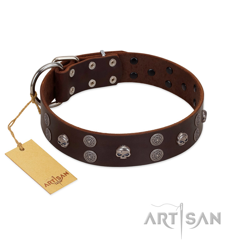 "Skull Valley" Handcrafted FDT Artisan Brown Leather Cane Corso Collar with Skulls