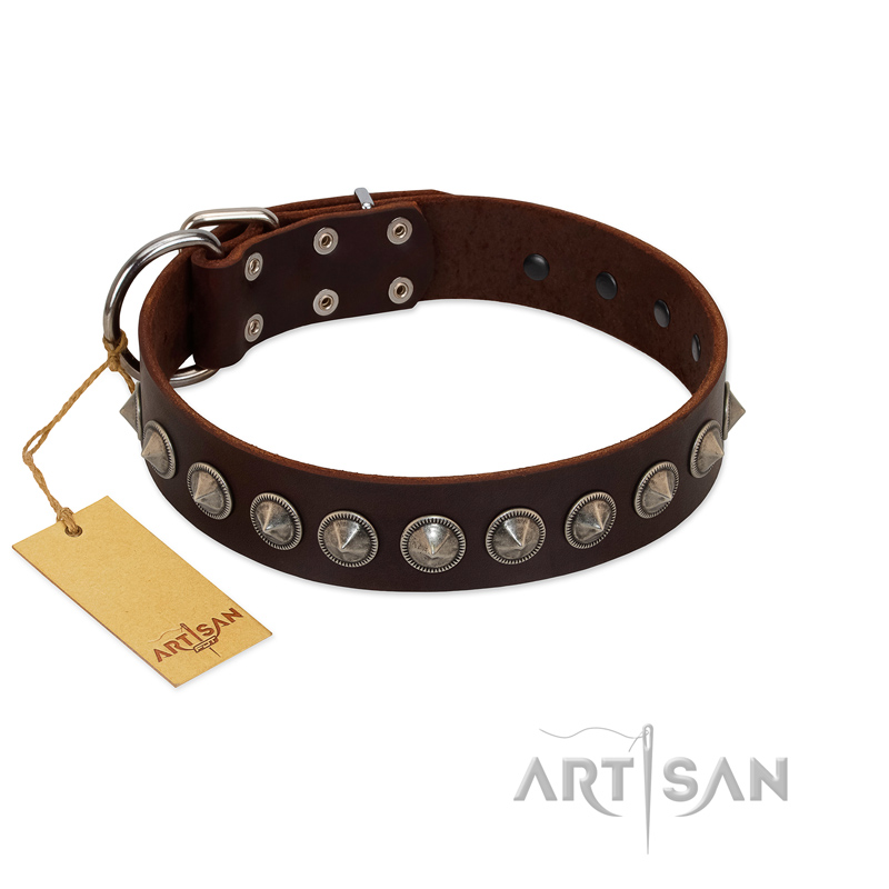 "Gothic Style" FDT Artisan Fancy Brown Leather Cane Corso Collar with Silver-Like Decorations - Click Image to Close