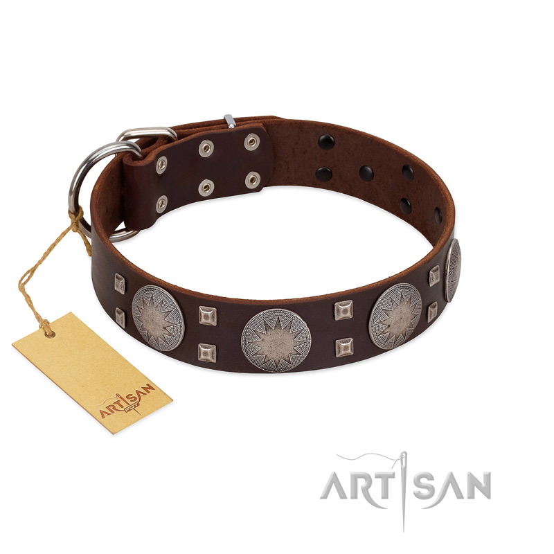 "Sun in Barchans" Modern FDT Artisan Brown Leather Cane Corso Collar with Engraved Stars on Round Plates and Studs