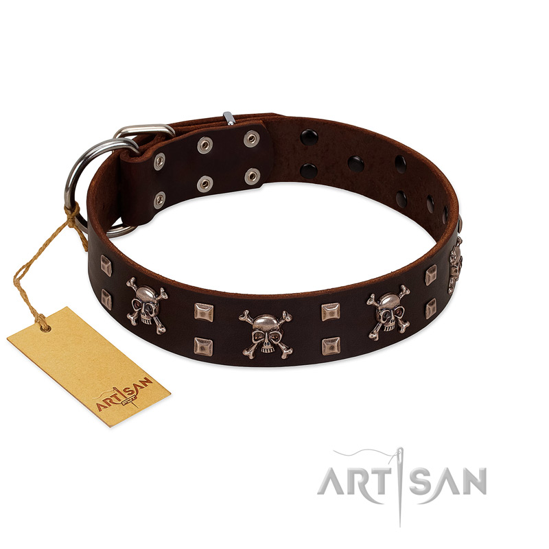 "Menacing Allure" FDT Artisan Brown Leather Cane Corso Collar Embellished with Silvery Crossbones and Square Studs