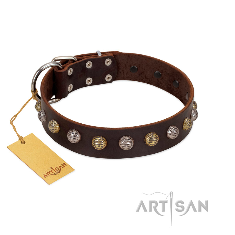 "Gape Buster" FDT Artisan Brown Leather Cane Corso Collar with One Row of Studs - Click Image to Close