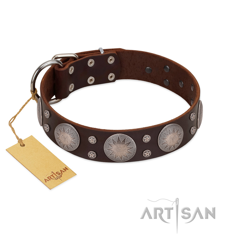 "Imperial Legate" FDT Artisan Brown Leather Cane Corso Collar with Big Round Plates