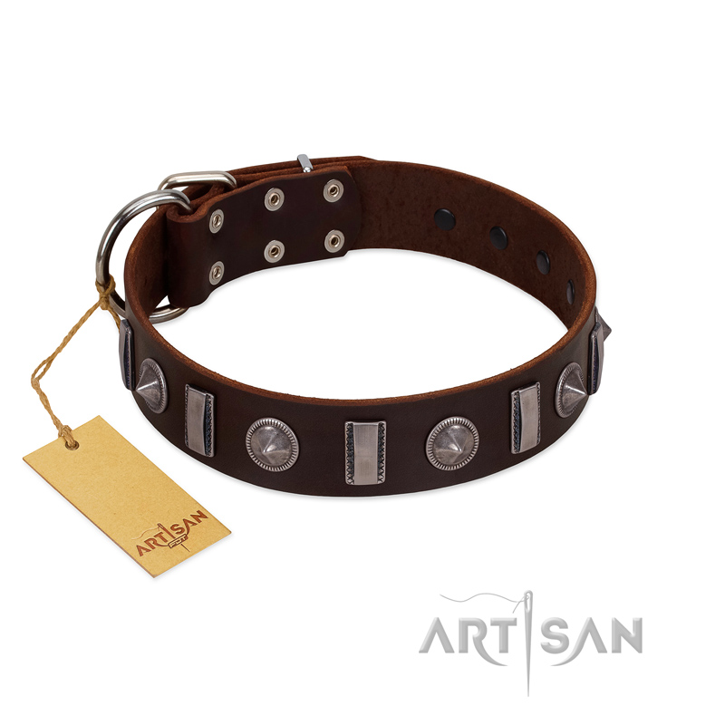 "Spiky Way" FDT Artisan Brown Leather Cane Corso Collar with Silver-Like Decorations