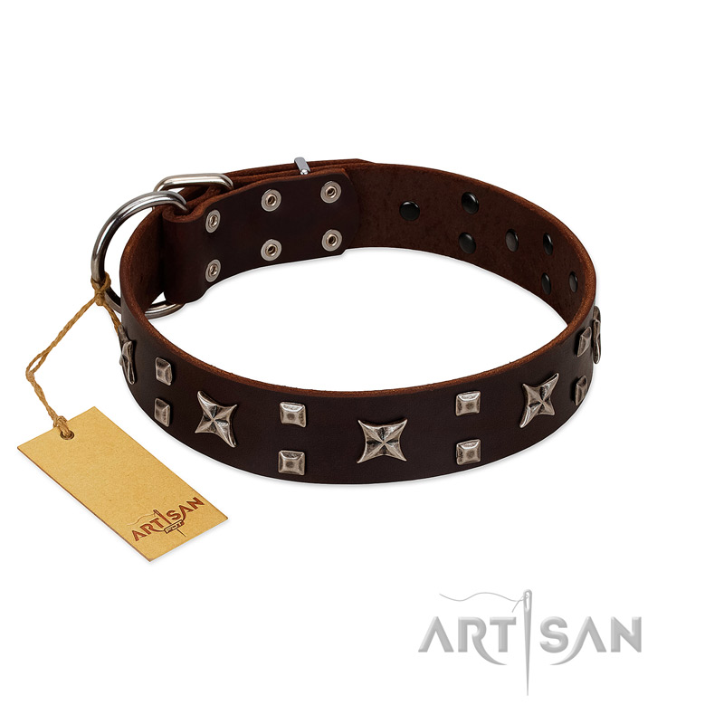 "Bigwig Woof" FDT Artisan Brown Leather Cane Corso Collar with Chrome Plated Stars and Square Studs